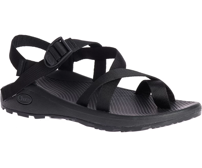 'Chaco' Men's ZCloud 2 Sandal - Black 1 'Chaco' Men's ZCloud 2 Sandal - Black